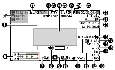 GY-HM250 CamDisplay1